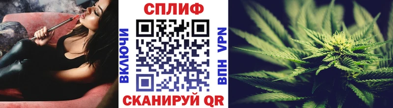 Каннабис индика  Данилов 
